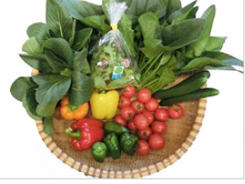 日本トリムの「還元野菜」